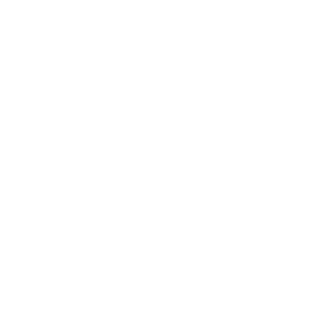 Fliegerabwehrtruppen Symbol Weiss