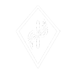 Fliegertruppen Symbol Weiss