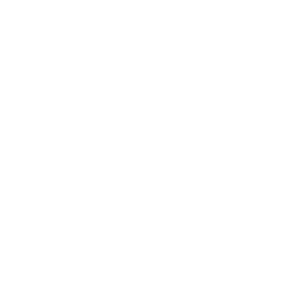 Infanterie Symbol Weiss