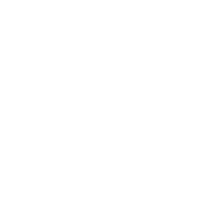 Panzergruppe Symbol Weiss