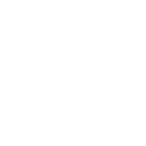 Spezialkräfte Symbol Weiss